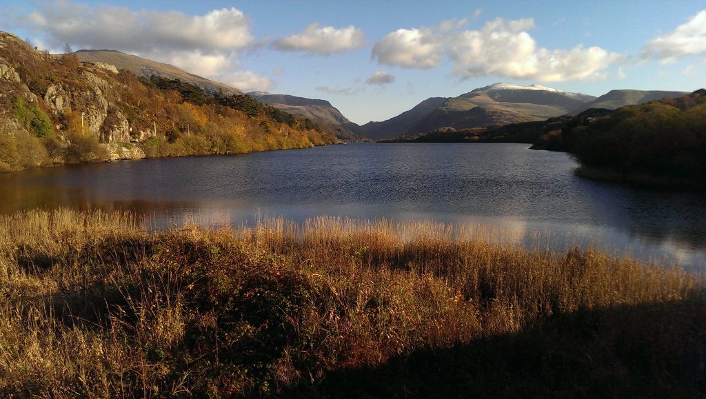 Amy's Cleaning Services